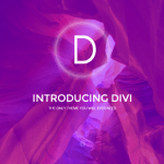 Why We use DiVi for Web Design