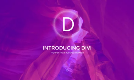 Why We use DiVi for Web Design