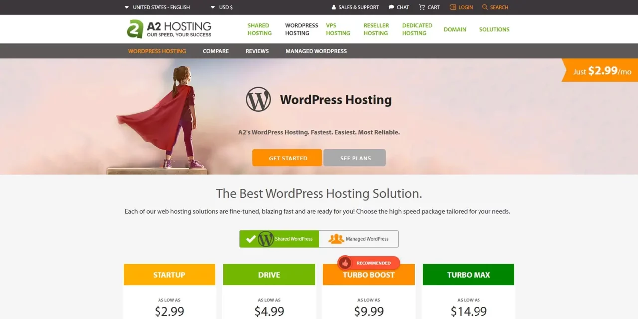 Which WordPress Hosting is Best for You