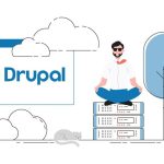 Which Drupal Hosting Service is Best for You