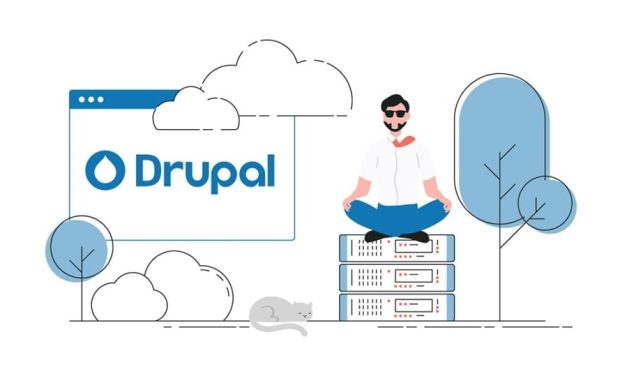 Which Drupal Hosting Service is Best for You